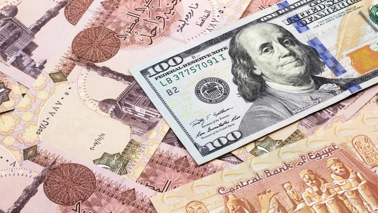 سعر الدولار العادل وفق مؤشر بيج ماك يبلغ 23.31 جنيهاً مصرياً